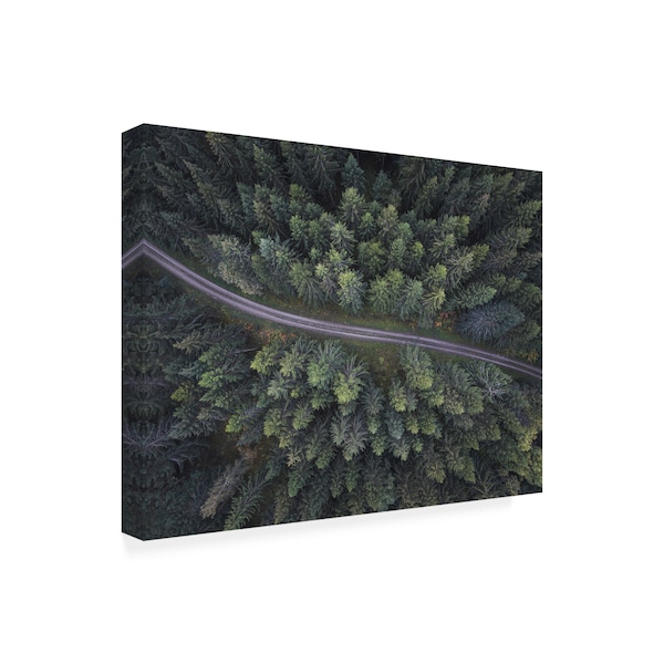 Christian Lindsten 'Small Road Through The Forest' Canvas Art,18x24